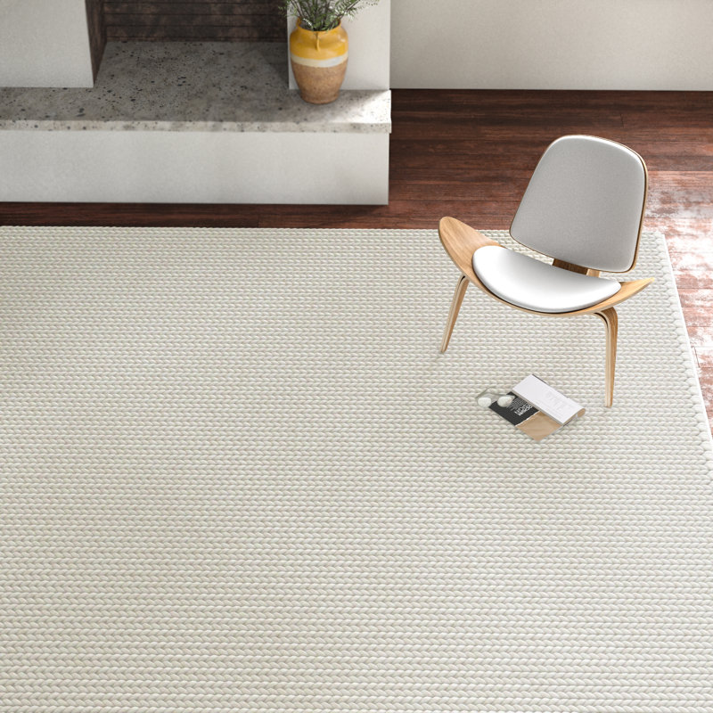 Dakota Fields Dunanney Hand Braided Ivory Area Rug & Reviews Wayfair